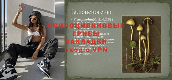 скорость Алзамай