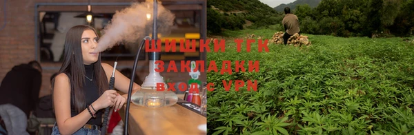 скорость Алзамай
